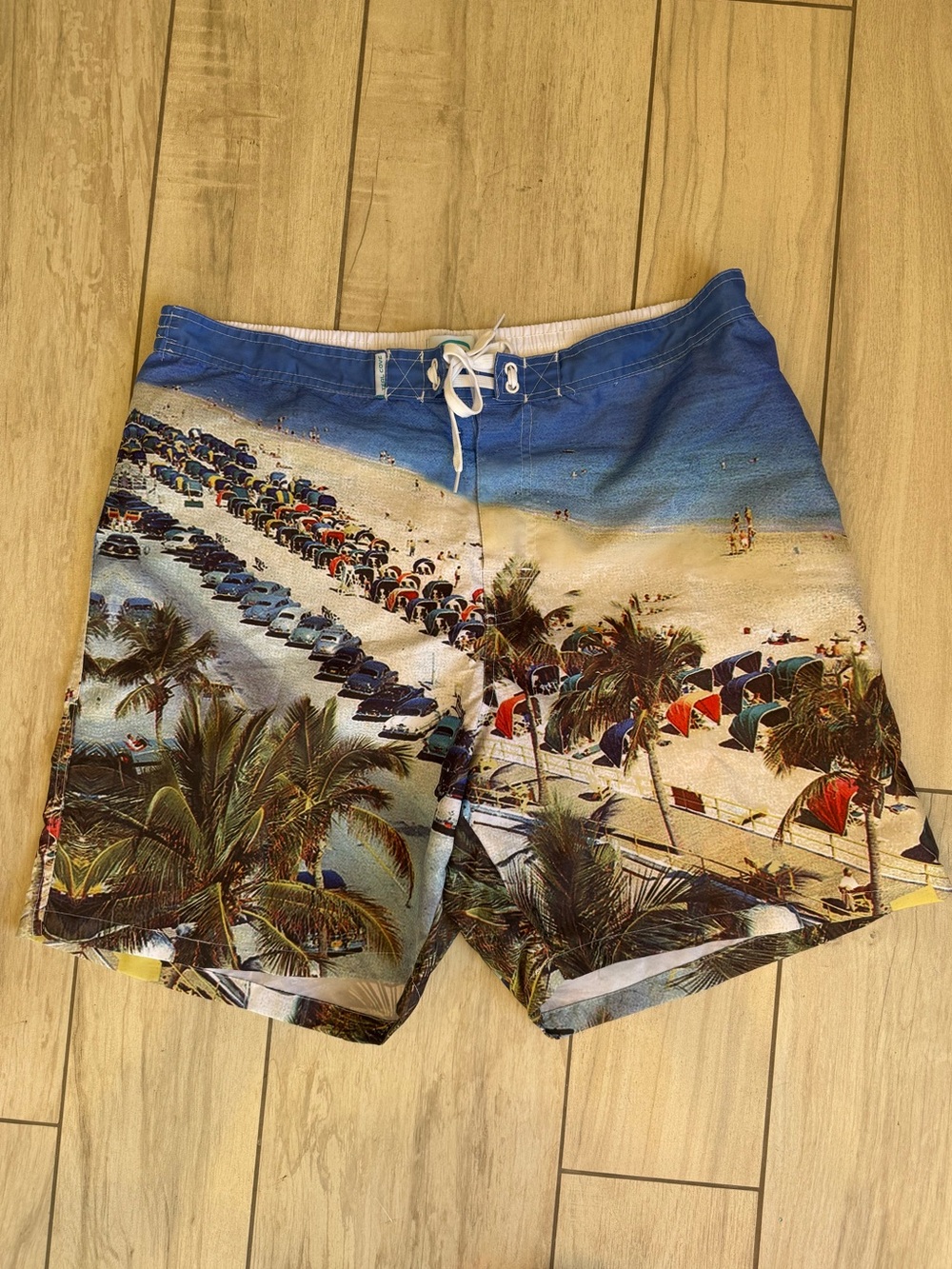 Teal Cove Beach and Vintage Scene Swim Trunks Board Shorts
